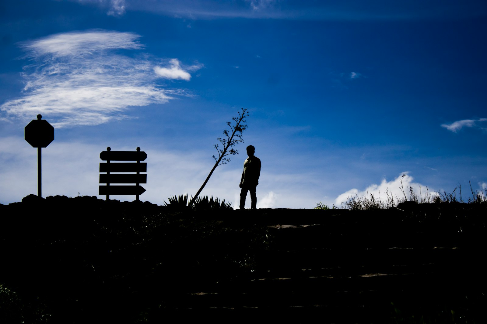 A person paused at a crossroads while considering a difficult decision
